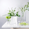 iittala Aalto Large Clear Tray