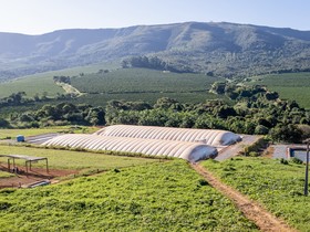 Campo tem desafio de disseminar tecnologias contra mudanças climáticas