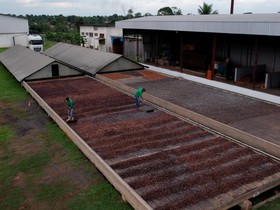 Comercialização coletiva impulsiona bioeconomia e comunidades isoladas