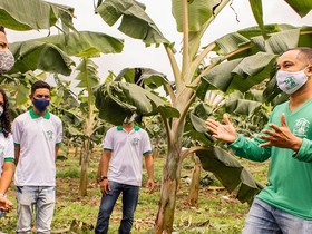 Projeto moderniza agricultura familiar e fixa jovem no campo