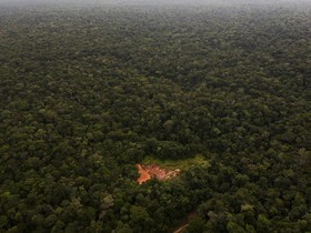 Pontos de incêndio se alastram e batem recordes na Amazônia