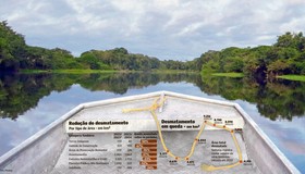 Crise climática leva Amazônia ao limite