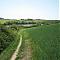 Footpath by Frogmore Creek