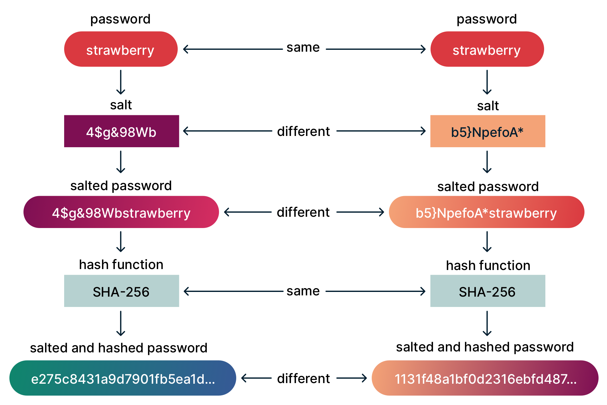 The same password with different salts, producing different hashes.