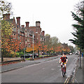 TL4357 : Cycling past Selwyn by John Sutton