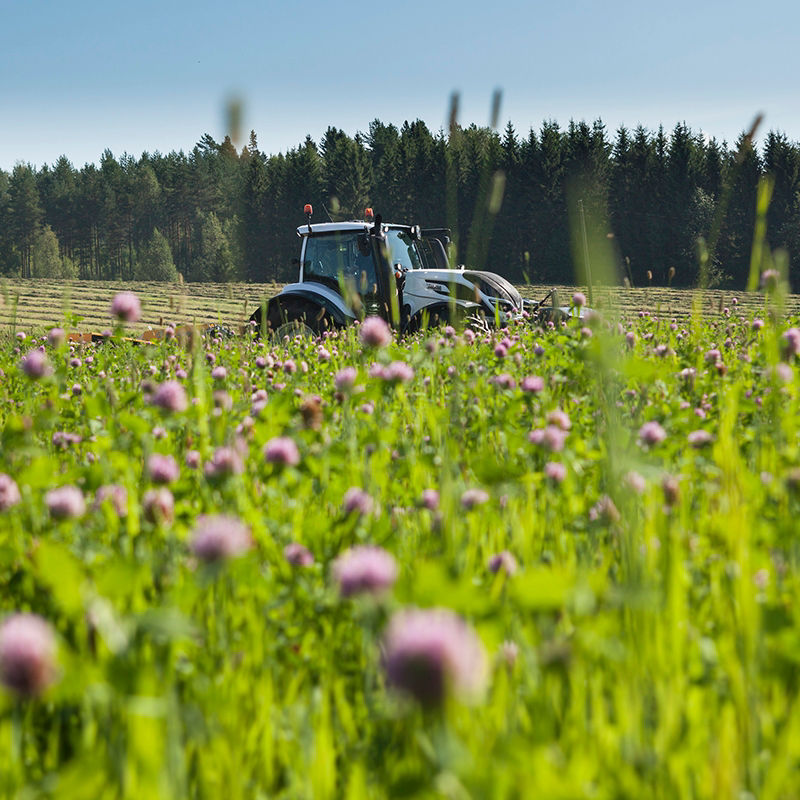 valtra-tseries-tractor-grassland-800.jpg