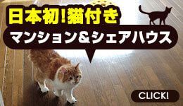 猫付きマンション・シェアハウス