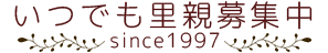 いつでも里親募集中