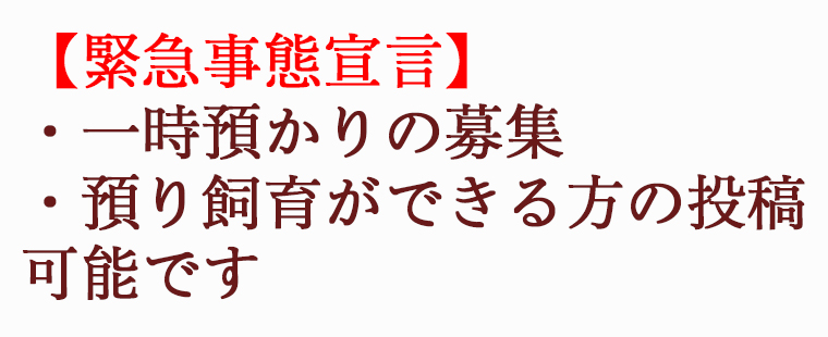 【緊急事態宣言】一時預かりの募集・預り飼育ができる方の投稿を可能とします