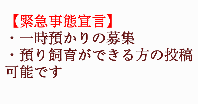 【緊急事態宣言】一時預かりの募集・預り飼育ができる方の投稿を可能とします