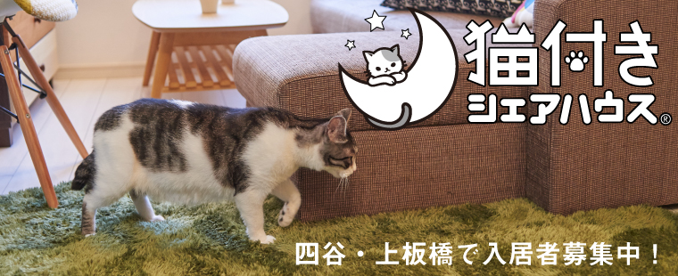 猫付きシェアハウス