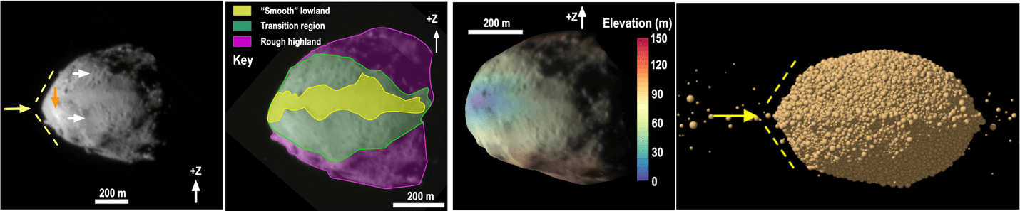 The asteroid’s triangular ridge (first panel from left), and the so-called smooth region, and its likely older, rougher “highland” region (second panel from left) can be explained through a combination of slope processes controlled by elevation (third panel from left). The fourth panel shows the effects of spin-up disruption that Didymos likely underwent to form Dimorphos.