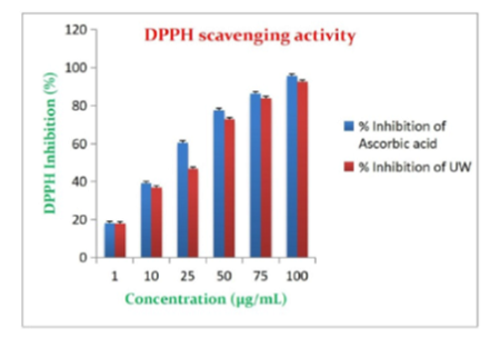 Green Synthesis and Characterization of Copper Nanoparticles Using Urginea wightii and its Biological Activities