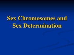 Sex Chromosomes and 
Sex Determination 

