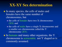 XX-XY Sex determination 
In many species, the cells of males and 
females have the same number of 
chromosomes, but  
the c