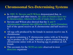 Chromosomal Sex-Determining Systems 
In 1905, N. Stevens and E.Wilson demonstrated that, in 
grasshoppers and other insects,