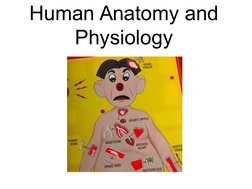 
 
Human Anatomy and 
Physiology
