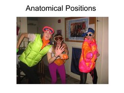  
 
Anatomical Positions
