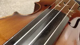 Practice the Violin/Viola