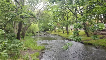 Merri Creek