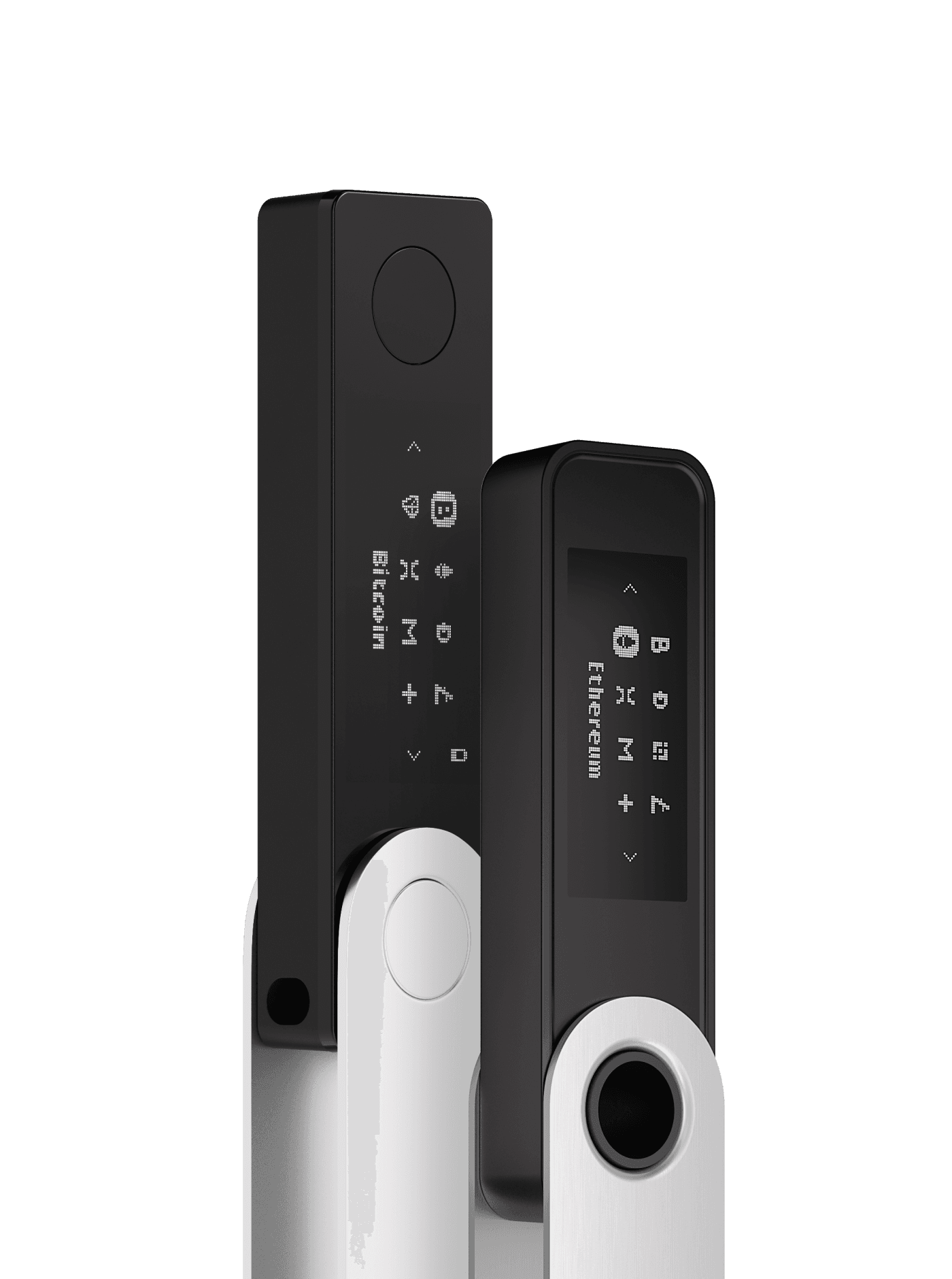 Ledger Backup Pack