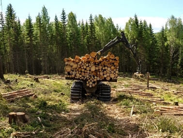 Forslag til ny motorferdsellov