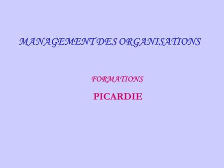 MANAGEMENT DES ORGANISATIONS