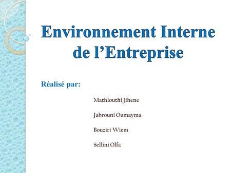 Environnement Interne de l’Entreprise