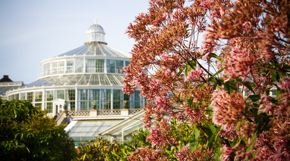 Palmehuset i Botanisk Have - forår