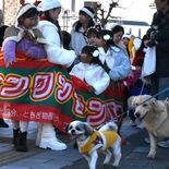 犬も猫もサンタに　栃木でクリスマスフェス　「わんわんパレード」に笑顔