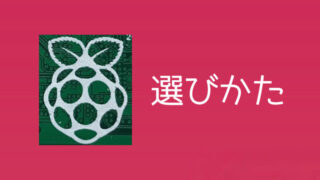 【初心者におすすめ】失敗しないラズベリーパイ入門機の選び方 