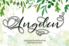 Angelin illustration 2