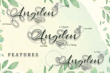 Angelin illustration 3