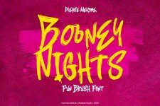 Booney Nights illustration 6