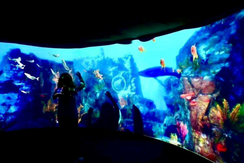 Explore marine wonders  at Central Hatyai