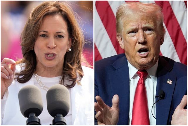 <p>Allan Lichtman has weighed in on how an October surprise could affect the race between Harris and Trump (left and right) </p>