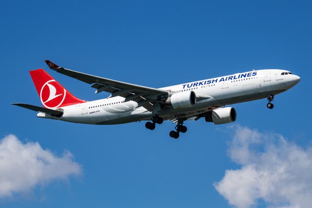 <p>The pilot had worked for Turklish Airlines since 2007</p>