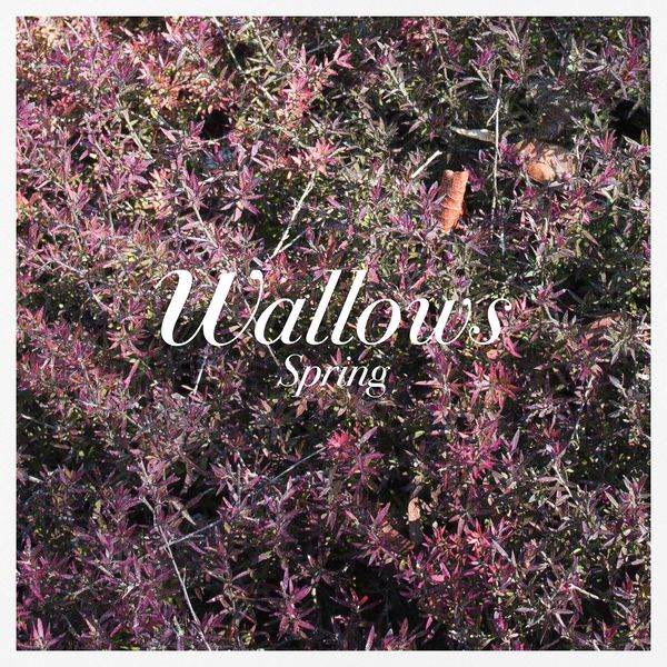 Wallows|Spring EP