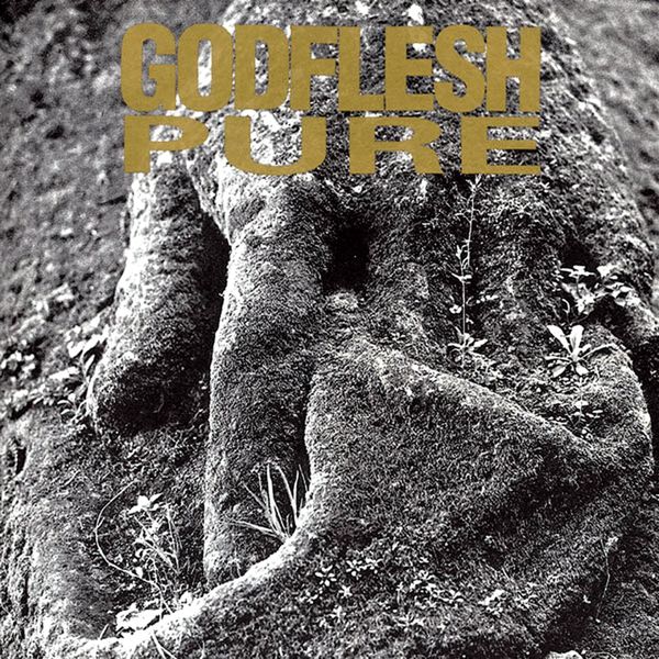 Godflesh|Pure