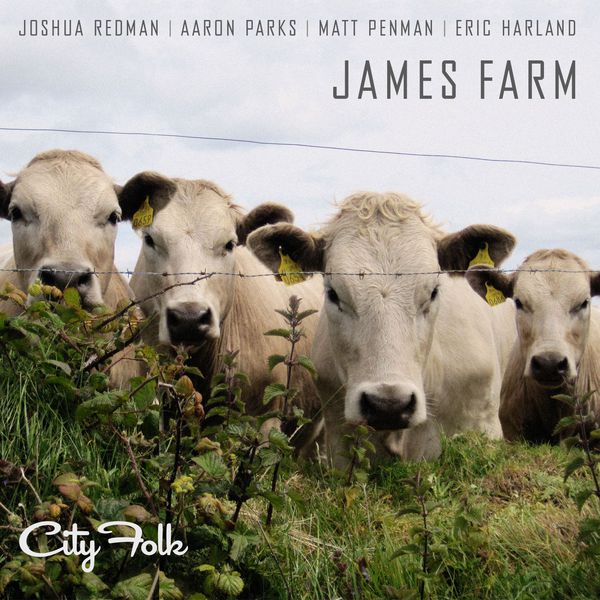 Joshua Redman|City Folk (MQ Stereo)