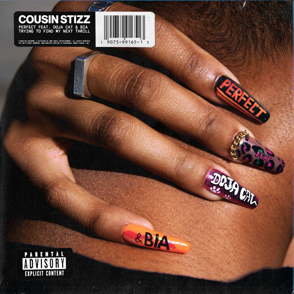 Cousin Stizz|Perfect (Remix)