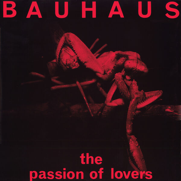 Bauhaus|The Passion of Lovers