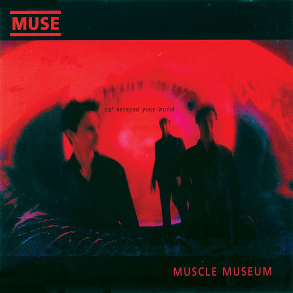 Muse|Muscle Museum