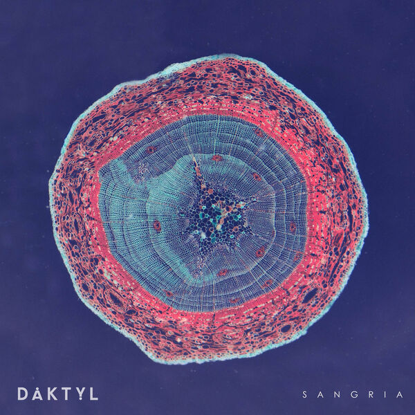 Daktyl|Sangria