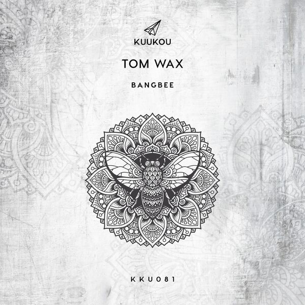 Tom Wax|BangBee