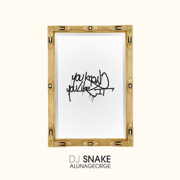 DJ Snake|You Know You Like It