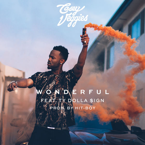 Casey Veggies|Wonderful