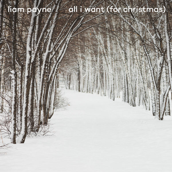 Liam Payne|All I Want (For Christmas)