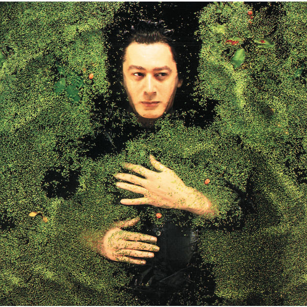 Alain Bashung|Fantaisie Militaire