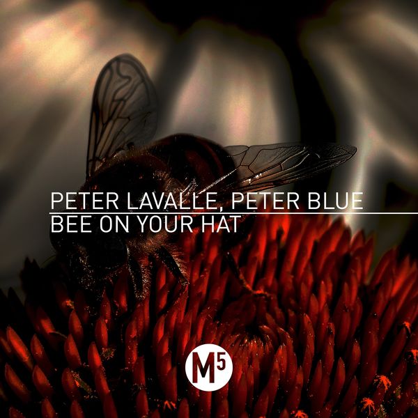 Peter Lavalle|Bee on Your Hat